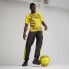 Фото #5 товара PUMA Borussia Dortmund 23/24 Prematch Short Sleeve T-Shirt