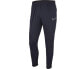 NIKE Dry Academy Sweat Pants