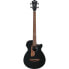 Фото #1 товара Ibanez AEGB24E-BKH Black High Gloss