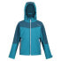 Фото #4 товара REGATTA Eastcott II softshell jacket