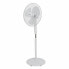 Freestanding Fan Oceanic 684161