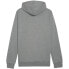 Фото #2 товара Толстовка Puma Team Goal Casuals Hoody M 658618 33