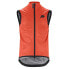 Фото #2 товара Assos Equipe RS Rain S9 gilet