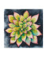 Фото #1 товара Chariklia Zarris Succulent Rosette IV Canvas Art - 15" x 20"