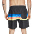 Фото #2 товара MYSTIC Stripe Swimming Shorts