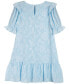 Little Girls Floral Burnout Chiffon Dress