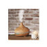 Yвлажнитель и распылитель запахов Cecotec Pure Aroma 300 Yang Алюминий Пластик 300 ml (2100 W) (1 штук)