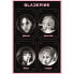 Фото #1 товара Постер высокого качества Bandai Blackpink How You Like That 61 x 91.5 см