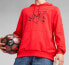 Puma Bluza Puma AC Milan FtbCore Graphic Hoody 772316-01