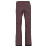 ARMADA Brae 2L Pants