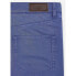 Фото #4 товара HACKETT Trinity 5 Pocket pants