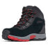 Фото #5 товара COLUMBIA Newton Ridge™ Amped hiking boots