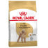 Фото #2 товара ROYAL Adult Poodle 7.5Kg Dog Food