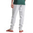 Фото #2 товара SUPERDRY Vintage Cl Classic joggers