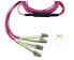Фото #4 товара BlueOptics K2Q46A-BO - Cable - 5 m - Fiber Optic Multimode fiber