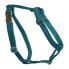 KENTUCKY Loop Velvet Harness