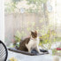 Фото #23 товара Подвесной гамак для кошек InnovaGoods Catlax
