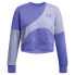 Фото #4 товара UNDER ARMOUR Icon Fleece Crop sweatshirt