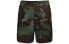 Nike SB Flex Shorts CK1103-222