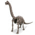 Фото #2 товара 4M Dig A Brachiosaurus Skeleton Geological Set