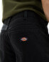 Dickies duck canvas shorts in washed black