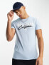 Hollister tech logo t-shirt in light blue