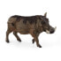 Schleich Wild Life Warthog - 3 yr(s) - Boy/Girl - Black - Brown - 1 pc(s)