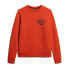 Фото #3 товара SUPERDRY Athletic Script Flock sweatshirt