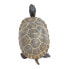 Фото #4 товара Фигура маленькой черепахи Safari Ltd. Животное - детёныш.