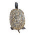 Фото #5 товара SAFARI LTD Tortoise Baby Figure