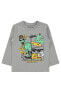 Фото #4 товара Erkek Çocuk Sweatshirt 2-5 Yaş Gri