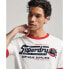 Фото #3 товара SUPERDRY Core Logo AC Ringer short sleeve T-shirt