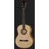 Cordoba C5 Crossover Spalted Maple LTD