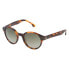 ფოტო #1 პროდუქტის LOZZA SL4073M4909AJ Sunglasses