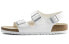 Фото #1 товара Тапочки Birkenstock Milano 34733