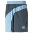 Фото #3 товара Спортивные мужские шорты для баскетбола Puma Flare Синий