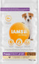 IAMS IAMS Puppy & Junior Small Medium sucha karma dla psa 12kg