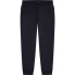 Фото #1 товара HACKETT Essential joggers