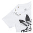 ADIDAS ORIGINALS Trefoil short sleeve T-shirt