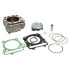 Фото #1 товара ATHENA P400270100007 Big Bore Ø 290cc 80 mm cylinder kit