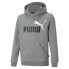 PUMA Essentials+ 2 Col Big Logo Fl sweatshirt