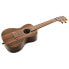 Kala KA-ZCT-C Concert Ukulele