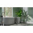 Фото #2 товара Цифровые весы для ванной Terraillon Regular Fit Серый 160 kg