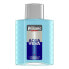 Фото #1 товара Лосьон после бритья Williams Aqua Velva 100 ml