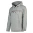 Фото #3 товара SUPERDRY Core Logo Source hoodie