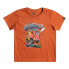 ფოტო #4 პროდუქტის QUIKSILVER Beach Vannin short sleeve T-shirt