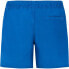 PROTEST York swimming shorts