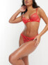 Фото #7 товара Ann Summers Ariel lace non padded 1/4 cup plunge bra with strapping detail in red