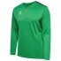 ფოტო #3 პროდუქტის HUMMEL Authentic PL long sleeve T-shirt