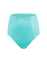 Фото #3 товара Plus Size Rachelle Swimwear High-Waist Bikini Bottom